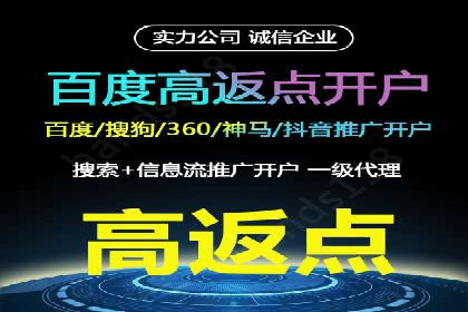 竞价广告投放技巧与案例分析